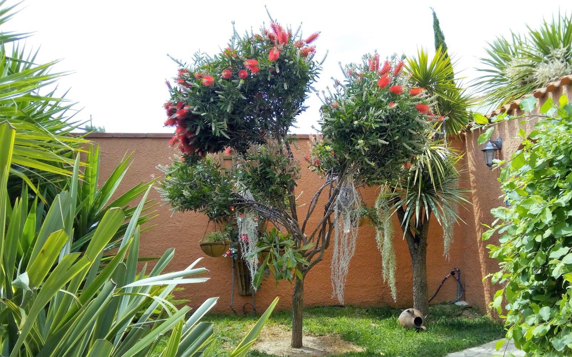 Bed and Breakfast La Gentoliere Pollestres Exterior foto