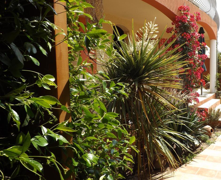 Bed and Breakfast La Gentoliere Pollestres Exterior foto
