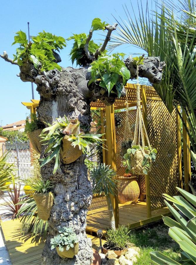 Bed and Breakfast La Gentoliere Pollestres Exterior foto